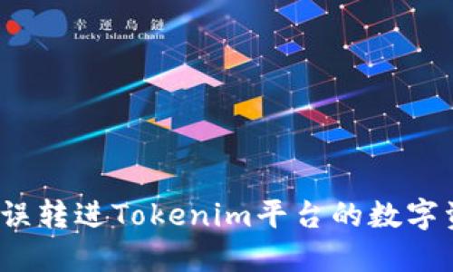 如何解决误转进Tokenim平台的数字资产问题？