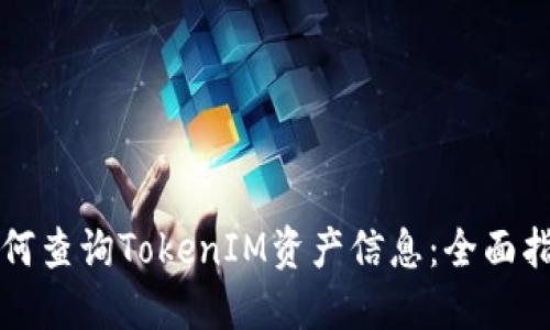 如何查询TokenIM资产信息：全面指南