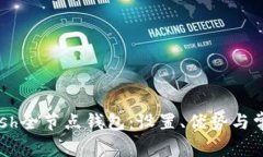 如何使用Dash全节点钱包：设置、优势与常见问题