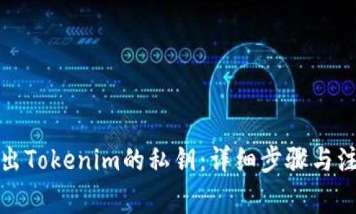 如何导出Tokenim的私钥：详细步骤与注意事项