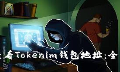 如何查看Tokenim钱包地址：全面指南