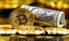 Tokenim地址字母大小写的重要性和影响解析