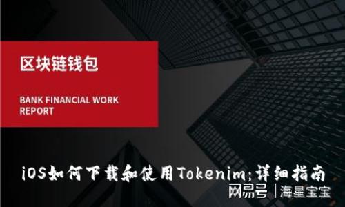 iOS如何下载和使用Tokenim：详细指南