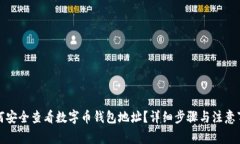 如何安全查看数字币钱包地址？详细步骤与注意