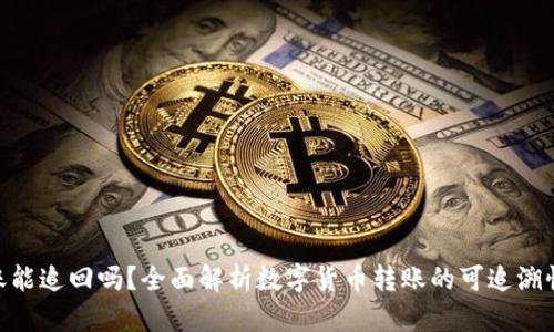 Tokenim转账能追回吗？全面解析数字货币转账的可追溯性与追回方式