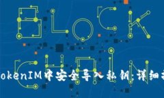 如何在TokenIM中安全导入私钥：详细操作指南