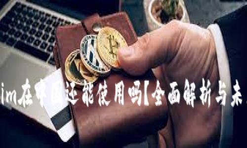 Tokenim在中国还能使用吗？全面解析与未来展望