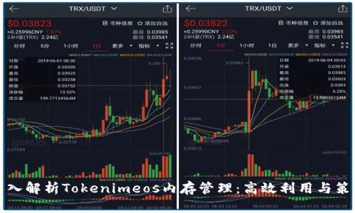 深入解析Tokenimeos内存管理：高效利用与策略