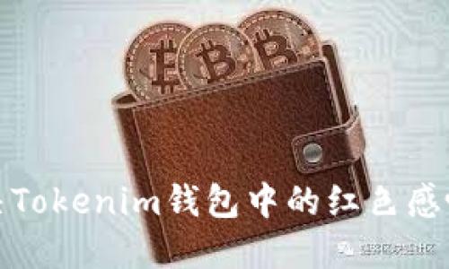 如何解决Tokenim钱包中的红色感叹号问题