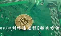 为什么TokenIM到账速度慢？解决方法与注意事项