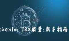 如何购买Tokenim TRX能量：新手指南与注意事项