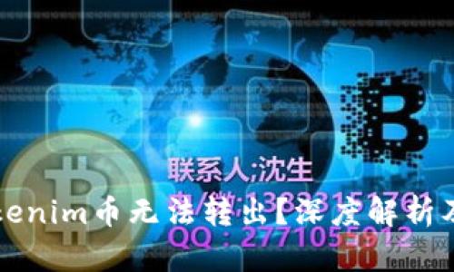 为什么Tokenim币无法转出？深度解析及解决方案