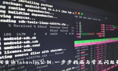 如何查询Tokenim公钥：一步步指南与常见问题解析