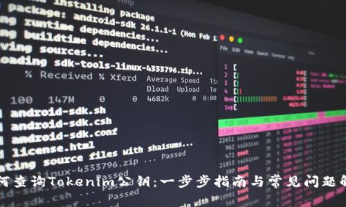 如何查询Tokenim公钥：一步步指南与常见问题解析