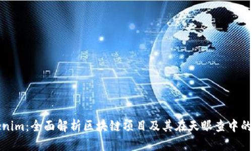 Tokenim：全面解析区块链项目及其在天眼查中的应用