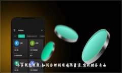 小手钱包鼓鼓：如何合理利用有限资源，实现财