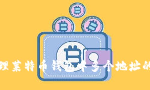 如何有效管理莱特币钱包中多个地址的使用与安全