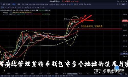 如何有效管理莱特币钱包中多个地址的使用与安全