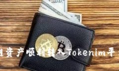 如何将比原链资产顺利转入Tokenim平台的详尽指南