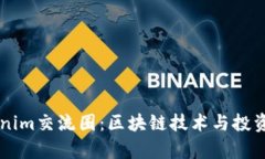 深入剖析Tokenim交流圈：区块链技术与投资者的互