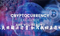 Tokenim转账失败解决方案：如何找回未退回的转账