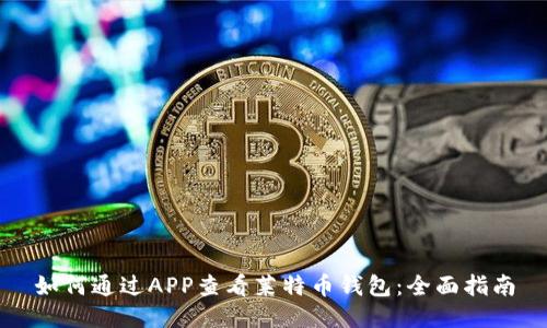 如何通过APP查看莱特币钱包：全面指南