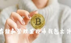 如何安全存储和管理莱特币钱包文件：全面指南
