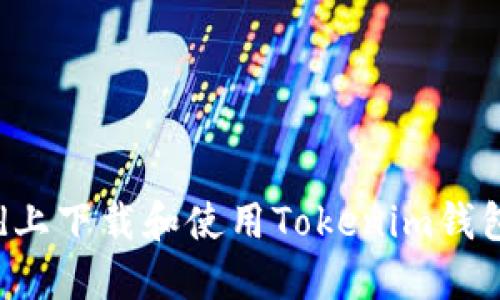 如何在iPad上下载和使用Tokenim钱包：全面指南