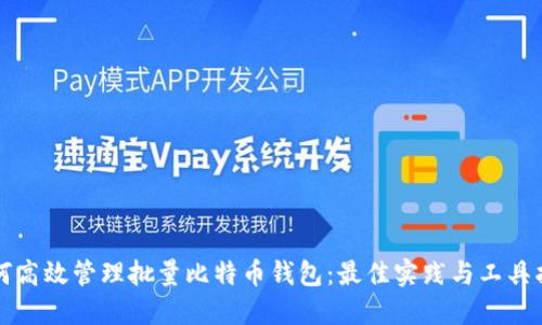 如何高效管理批量比特币钱包：最佳实践与工具指南