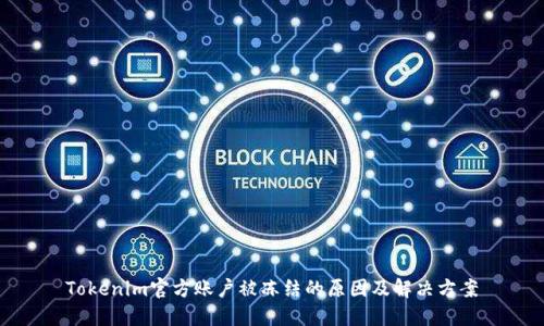 Tokenim官方账户被冻结的原因及解决方案