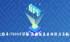波场币（TRON）详解：区块链未来的潜力与挑战