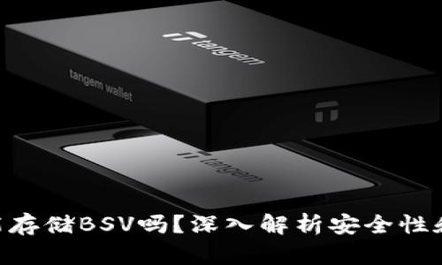 Tokenim能存储BSV吗？深入解析安全性和使用案例