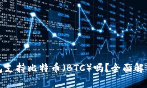 TokenIm钱包支持比特币（BTC）吗？全面解析与使用指南
