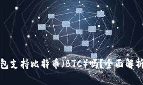 TokenIm钱包支持比特币（BTC）吗？全面解析与使用指南