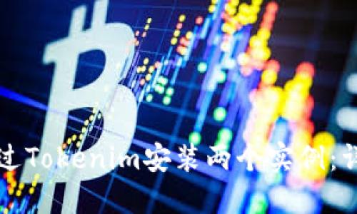 如何通过Tokenim安装两个实例：详细指南
