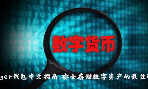 Ledger钱包中文指南：安全存储数字资产的最佳选择