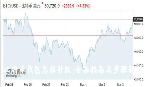 比特币钱包怎样升级：全面指南与步骤解析