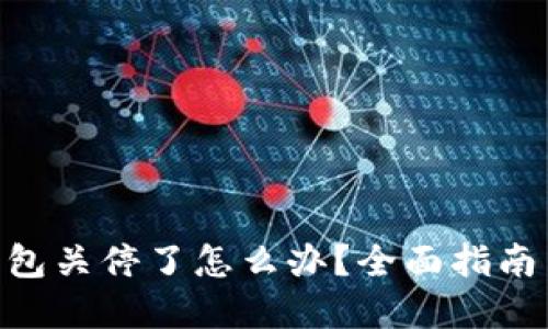 Tokenim钱包关停了怎么办？全面指南与解决方案