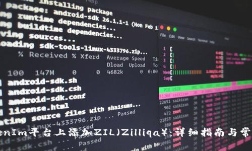 如何在TokenIm平台上添加ZIL（Zilliqa）：详细指南与常见问题解答