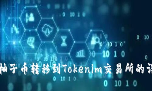 如何将柚子币转移到Tokenim交易所的详细指南