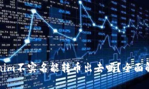 数字钱包Tokenim不实名能转币出去吗？全面解析与用户指南