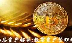 Tokenim总资产解析：数字资产管理的新趋势