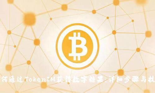 如何通过TokenIM获得数字糖果：详细步骤与技巧
