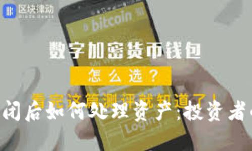 Tokenim倒闭后如何处理资产：投资者的应对策略