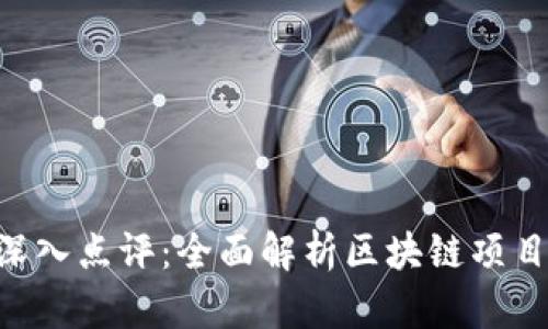 Tokenim项目深入点评：全面解析区块链项目的潜力与风险