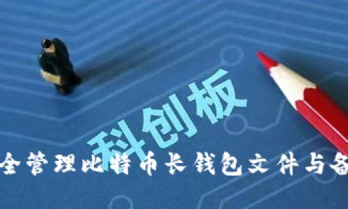 如何安全管理比特币长钱包文件与备份技巧