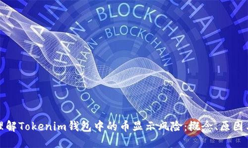 如何理解Tokenim钱包中的币显示风险：概念、原因与应对