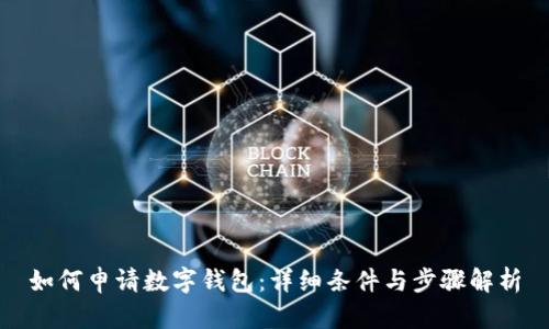 如何申请数字钱包：详细条件与步骤解析