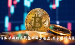 如何加快比特元钱包的同步速度：高手技巧与策