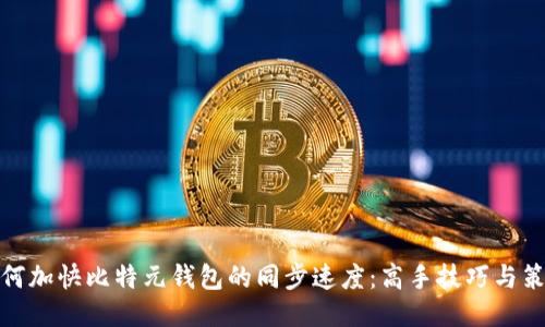 如何加快比特元钱包的同步速度：高手技巧与策略
